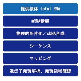 作業の流れ