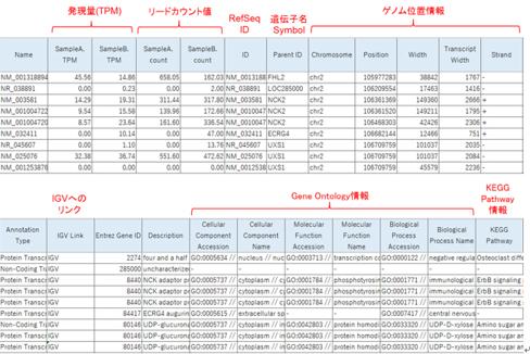 遺伝子発現解析結果例