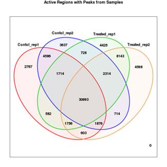 ATAC-Seq タカラバイオ ATAC-Seq解析