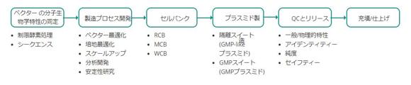  GMP-likeと GMPプラスミド製造のワークフロー 