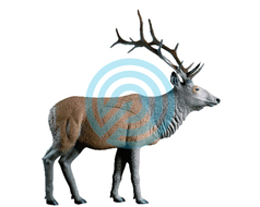 3D-0090 Tiger - 3D TARGETS - Leitold Targets - Cogo Archery Land