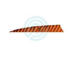 Gateway Feather 4" Shield RW Barred