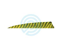 Gateway Feather 4" Shield RW Barred