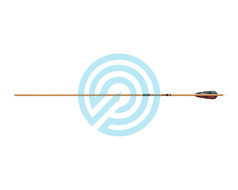 Gold Tip Arrow Carbon Hunting Fletched Traditional