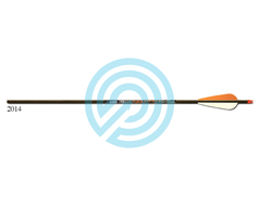 Gold Tip Arrow Carbon Hunting Fletched Velocity with Vanes