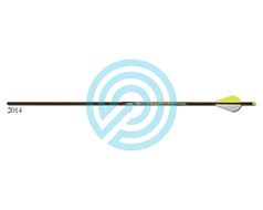Gold Tip Arrow Carbon Hunting Fletched Velocity Pro with Vanes