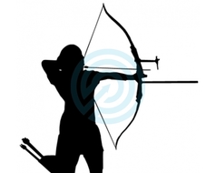 Arctec Archery Sticker Recurve