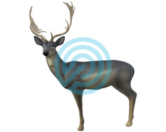 SRT Target 3D Fallow Deer Melas