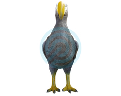 Eleven Target 3D Dodo