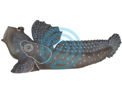 SRT Target 3D Saltafango Mudskipper