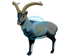 SRT Target 3D Iberian Ibex