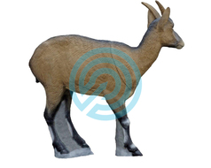 SRT Target 3D Iberian Ibex Female