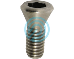 Gillo Limb Bolt Locking Screw Stainless Steel