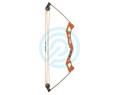 Bear Archery Youth Bow Package Apprentice