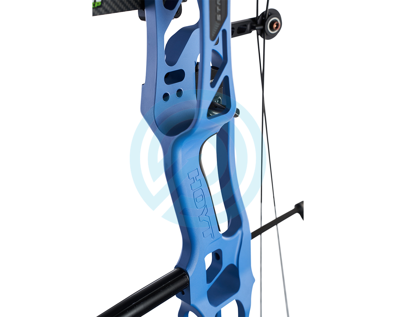 hoyt recurve bow blue