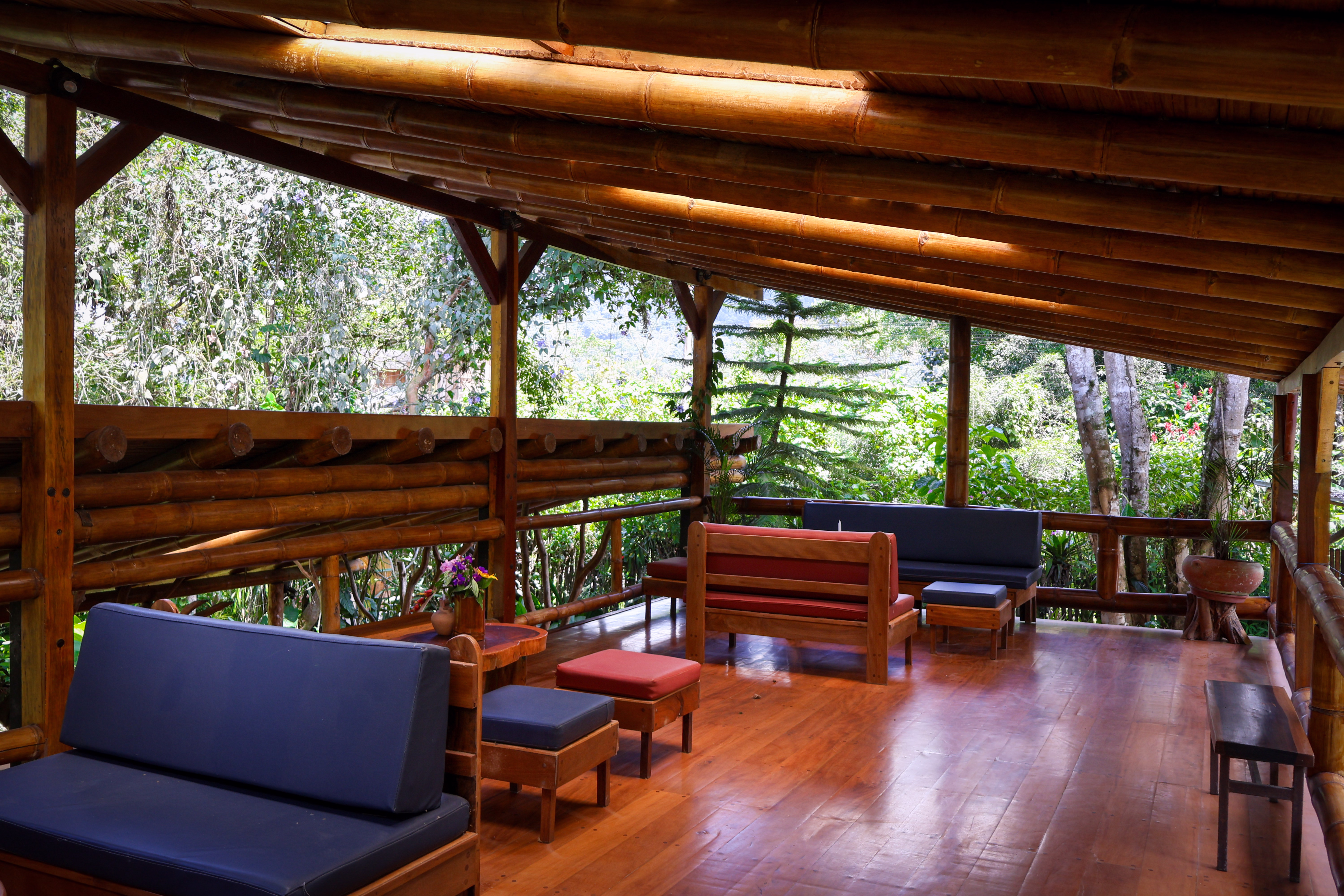 Terreno 1 - Vista 10