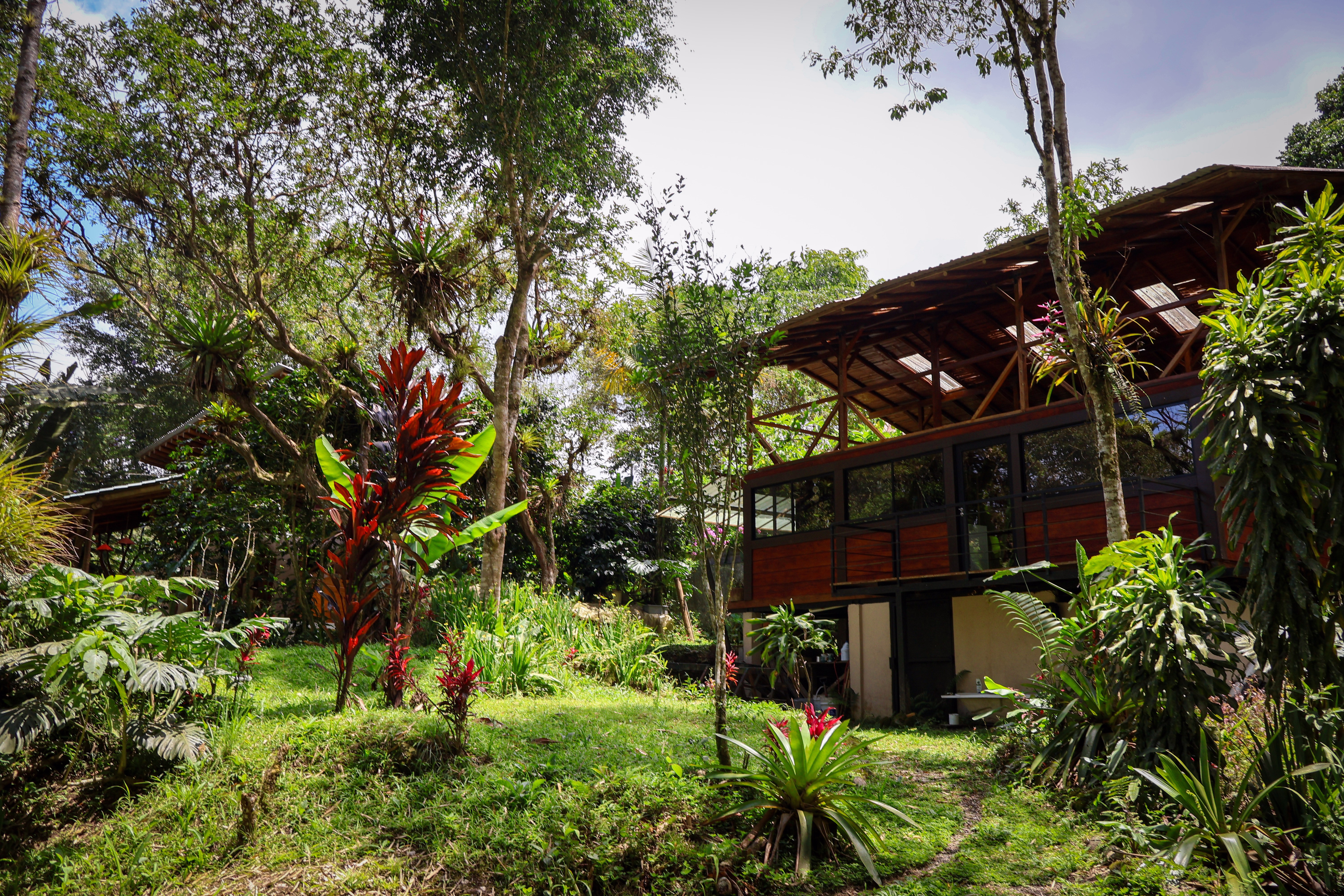 Terreno 1 - Vista 18