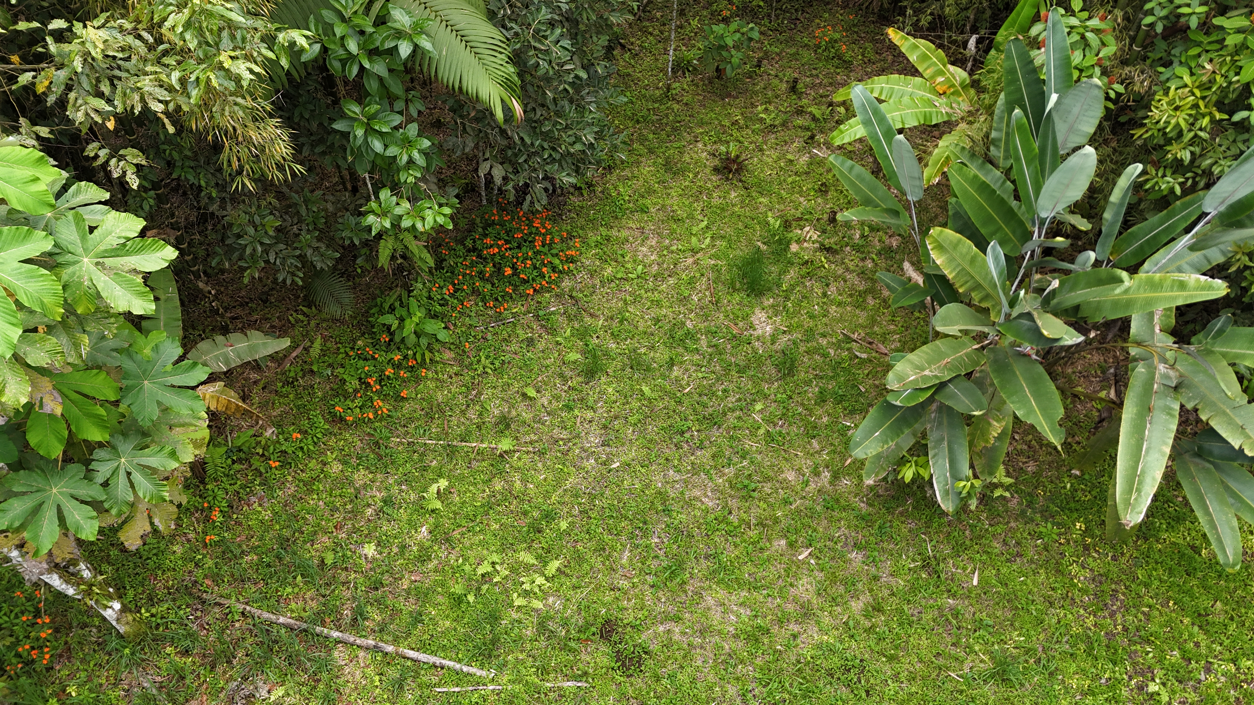 Terreno 1 - Vista 1