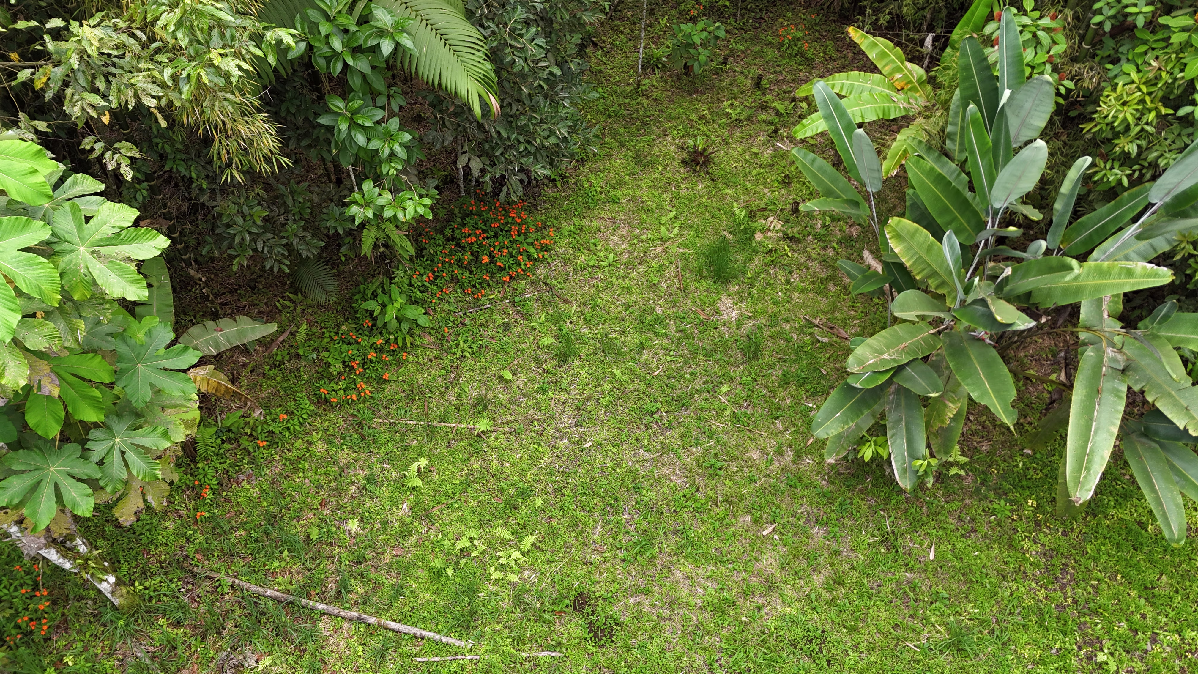 Terreno 1 - Vista 1