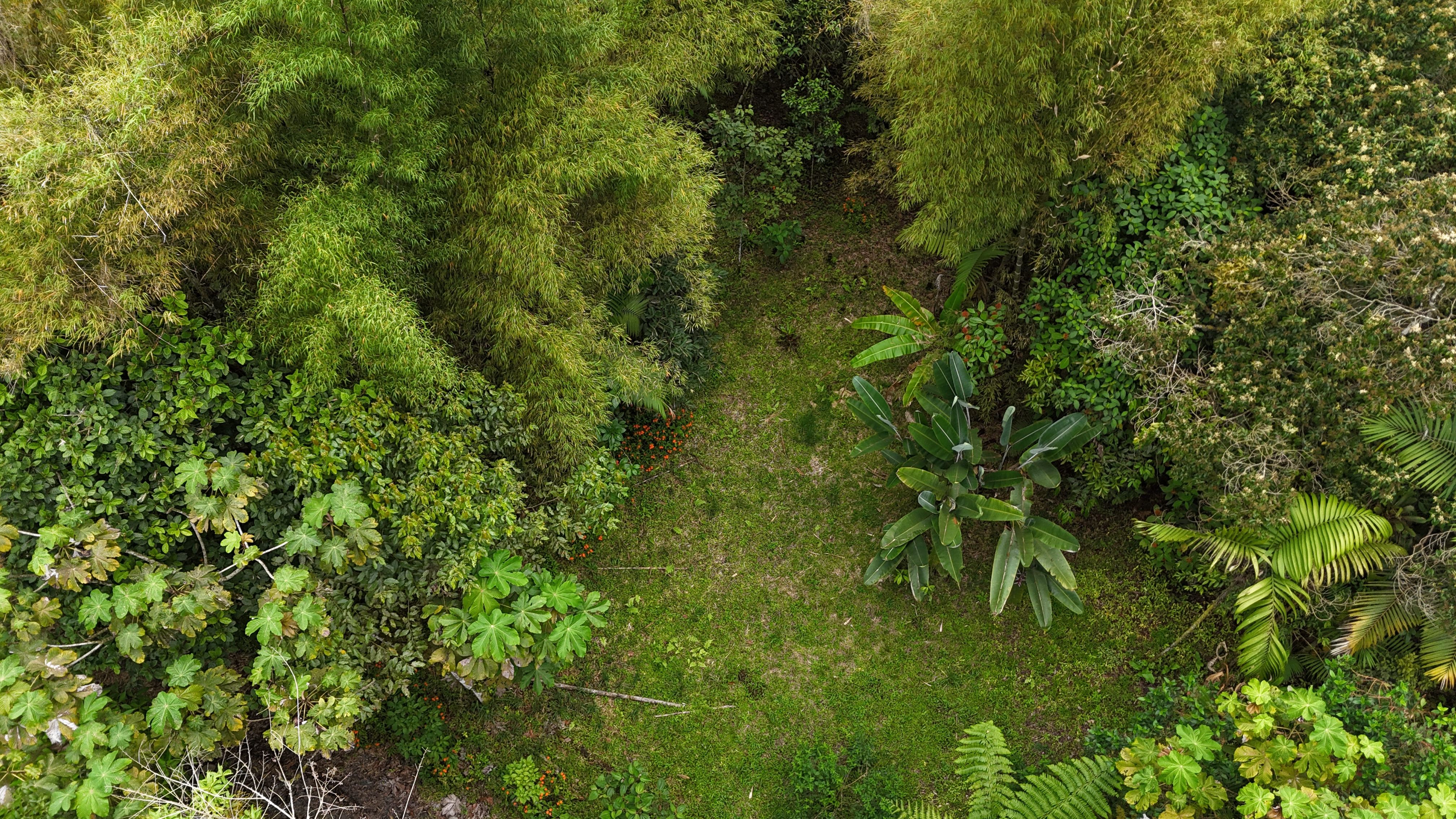 Terreno 1 - Vista 2