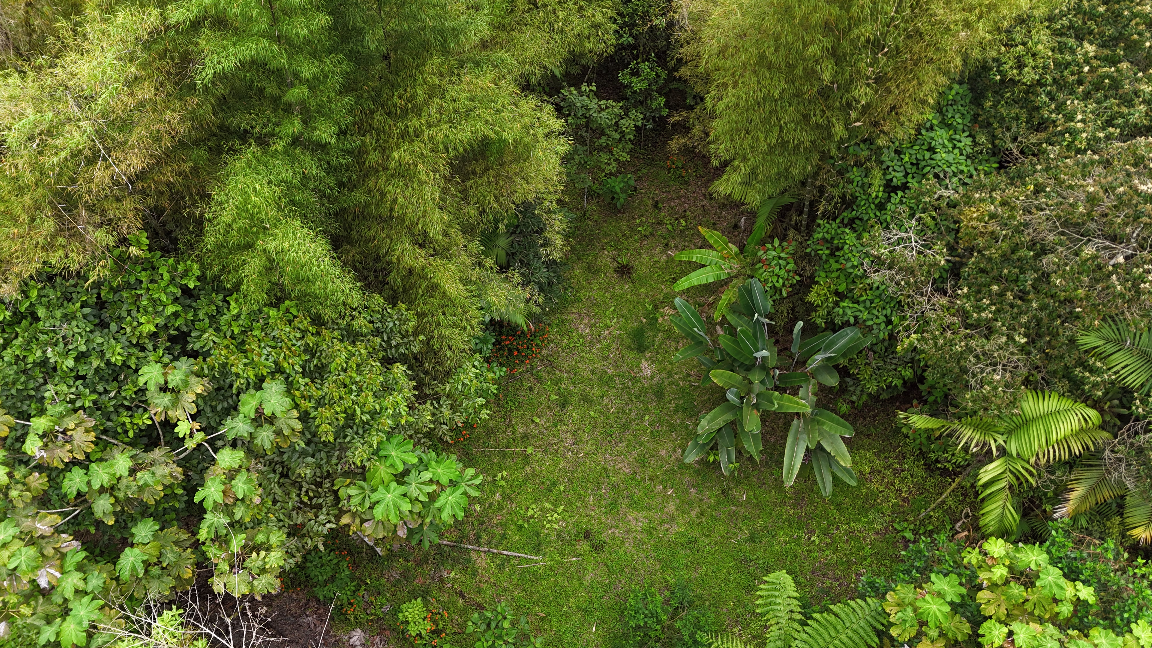 Terreno 1 - Vista 2