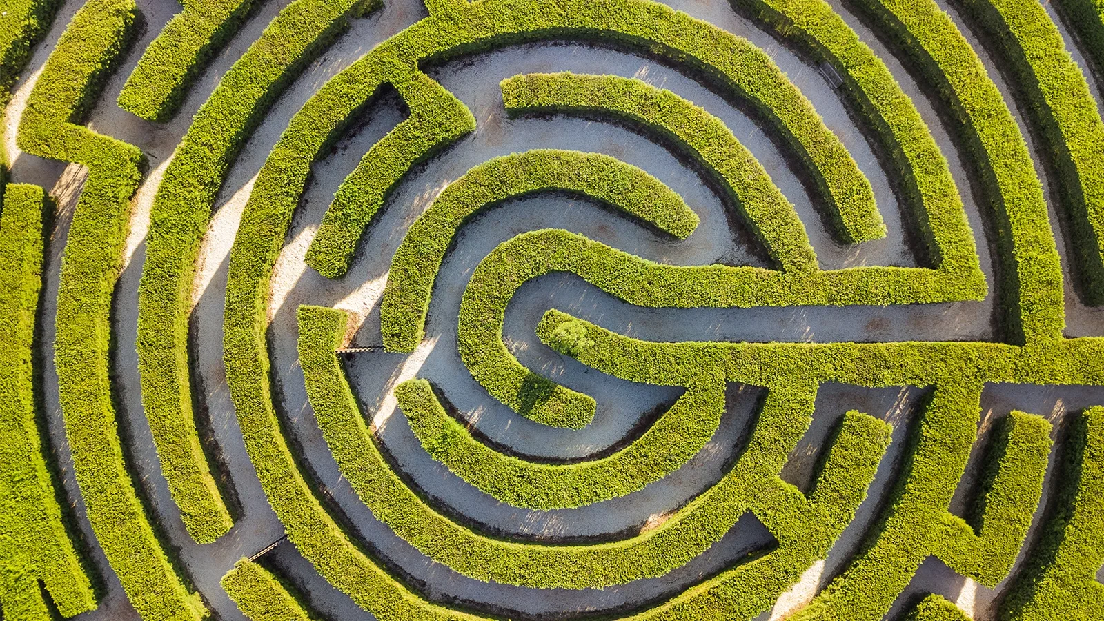 A maze formed by hedges, used in this context as a reference to hedge funds.