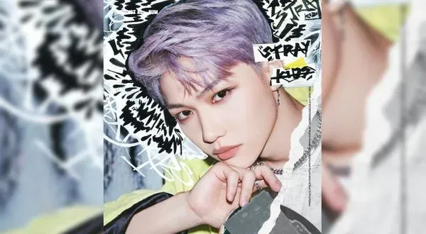 Felix (Stray Kids): Profile, Age, Birthday, Height, Weight | Hallyu Idol