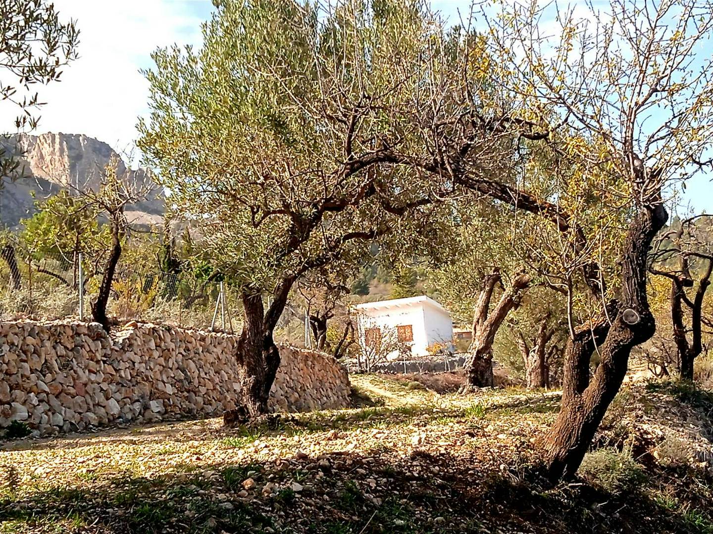 Alquila por horas Refugio de alta montaña