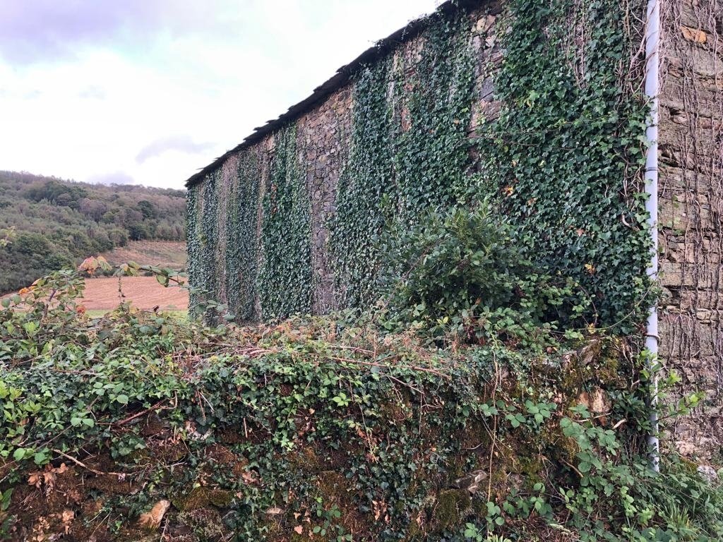 Alquila por horas Casa en el rural de Lugo