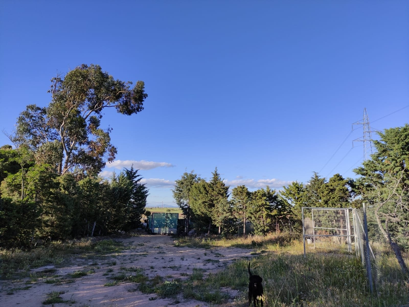 Alquila por horas Finca campestre en Brunete a pie de carretera