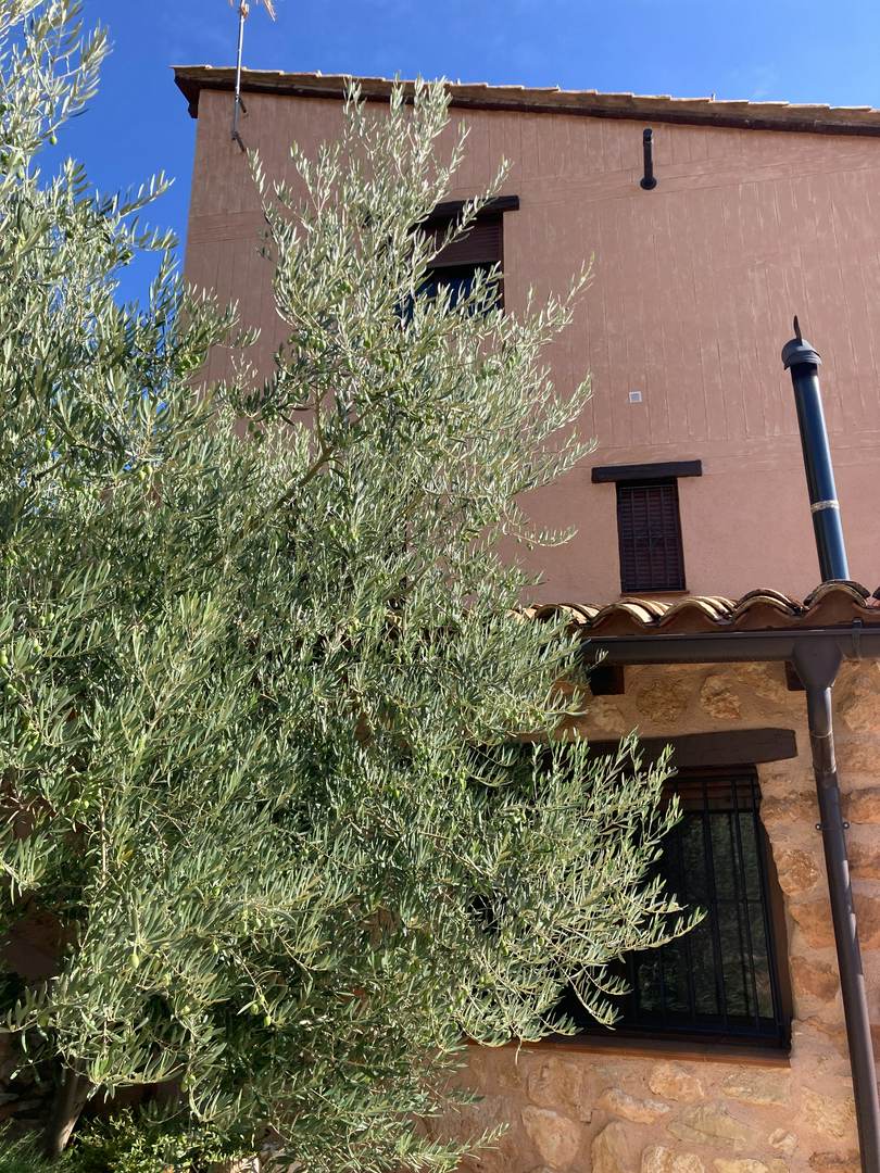 Alquila por horas Casa rústica con estilo en el Rincón de Ademuz cerca del río Turia