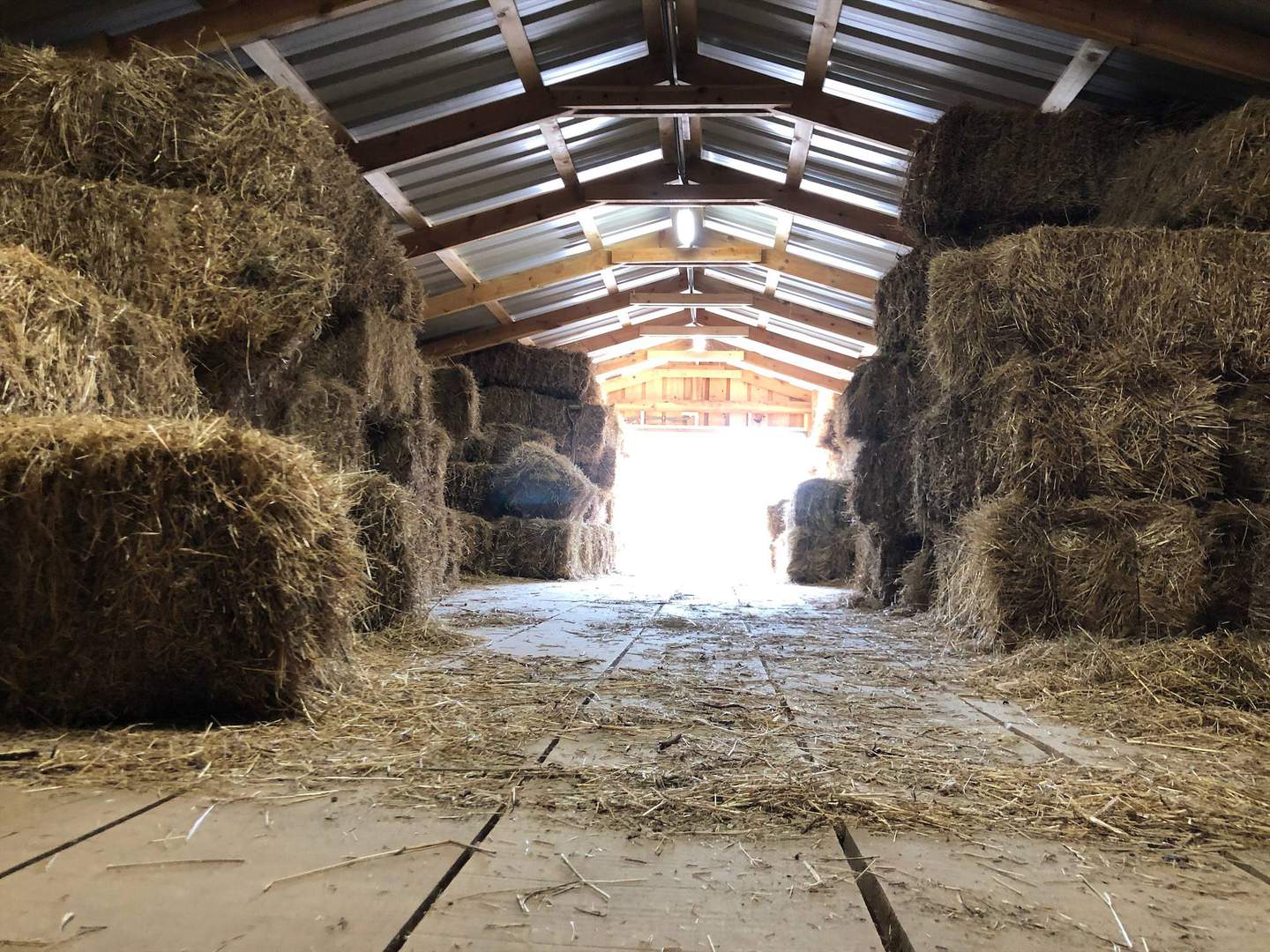 Alquila por horas Bonita casa de madera con placas solares y establos perfecta para rodajes de época o vaqueros