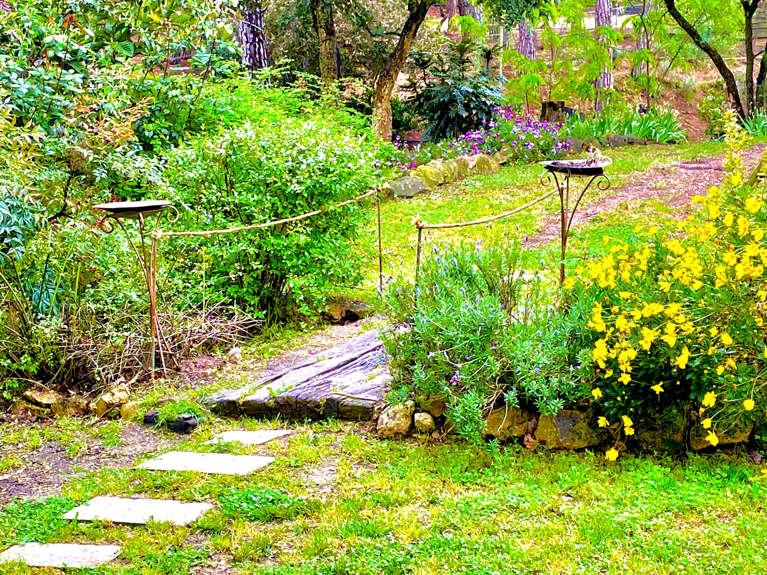 Alquila por horas Pequeño paraíso rural