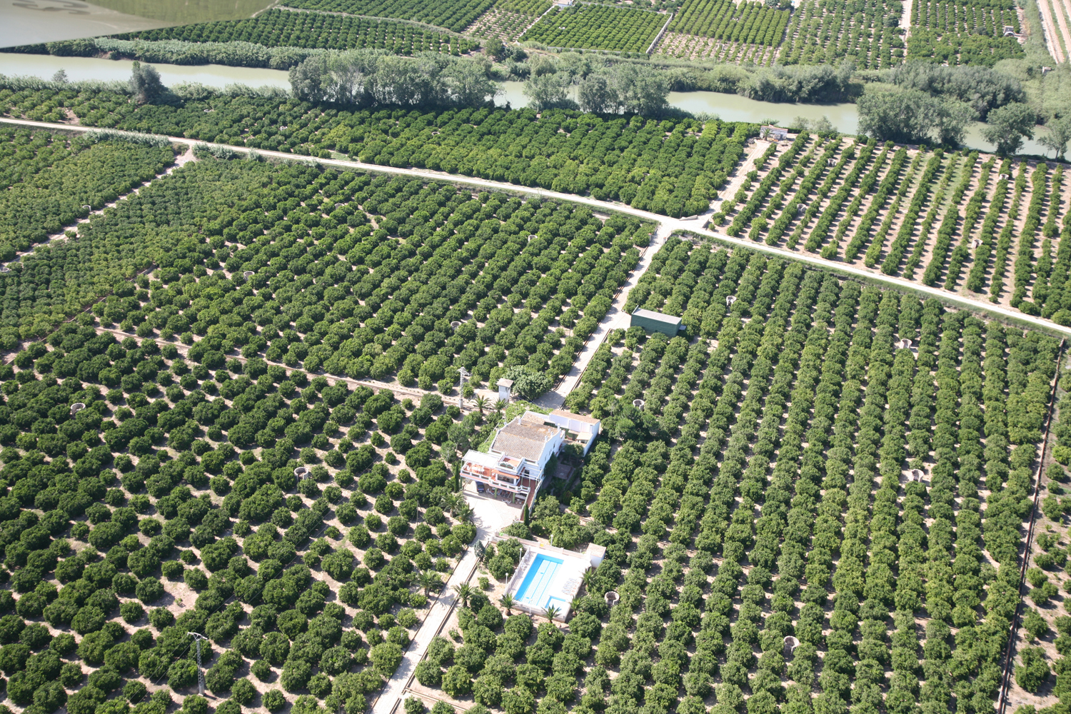 Alquila por horas Villa valenciana rodeada de naranjos