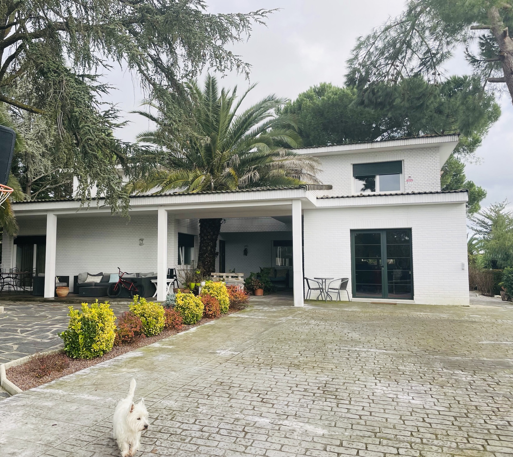 Alquila por horas Vivienda independiente en Las Lomas 