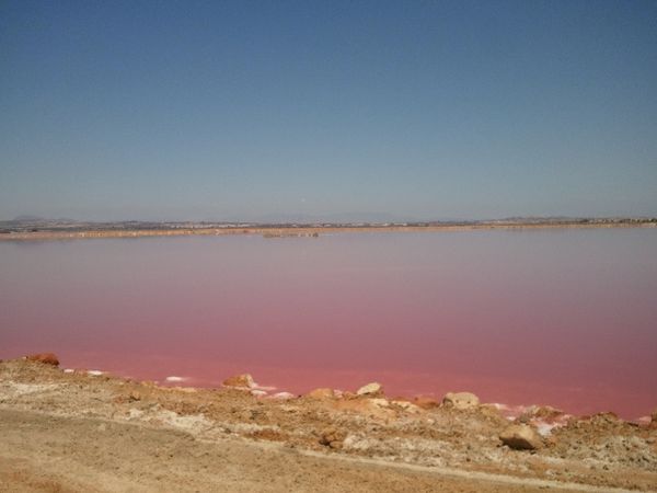 Alquila por horas Única laguna rosa y montañas de sal