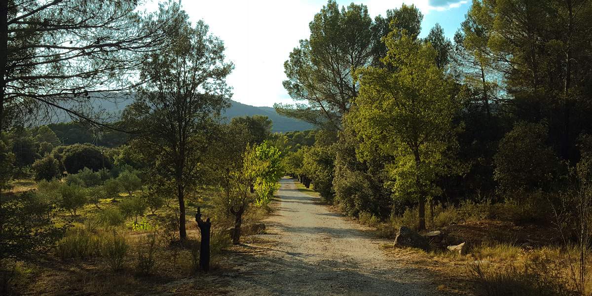 Alquila por horas Finca privada en alcarria a 120 km de Madrid, junto al embalse de Entrepeñas