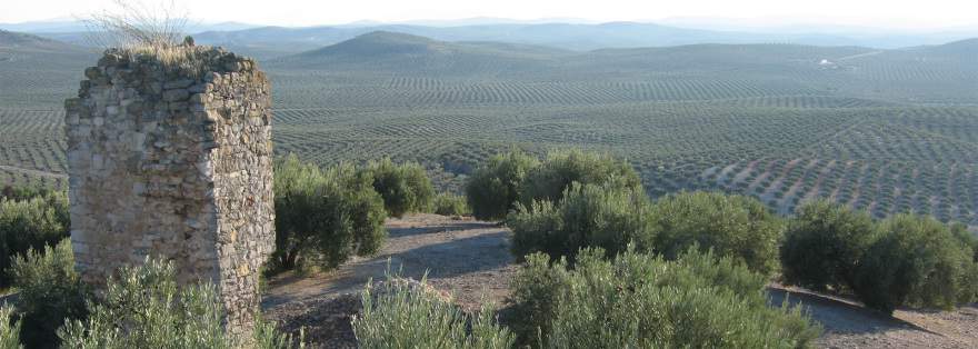 Alquila por horas Cortijo andaluz señorial con aire de Toscana