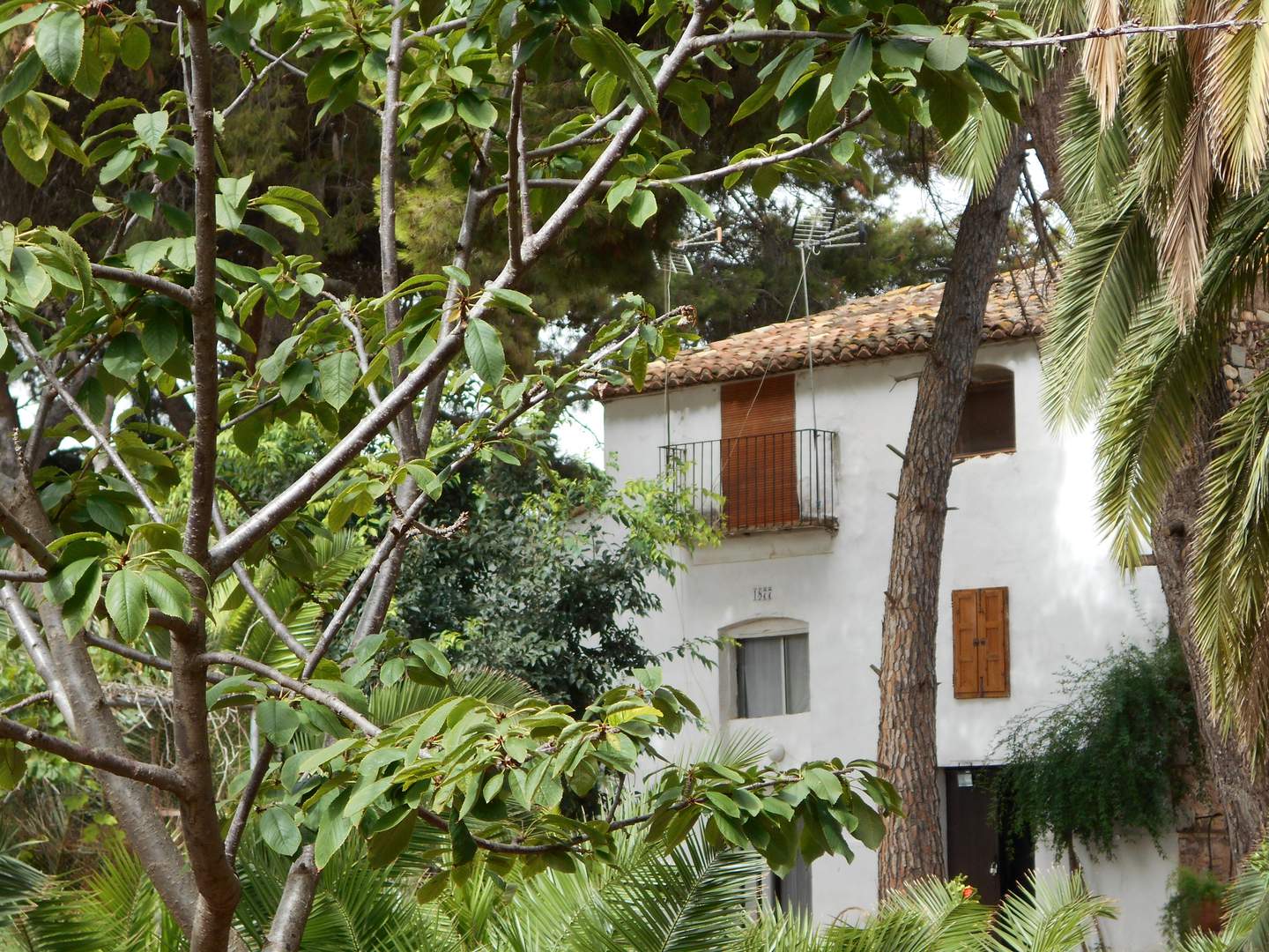 Alquila por horas Jardín Botánico de 8.000 m2 y edificio del año 1877