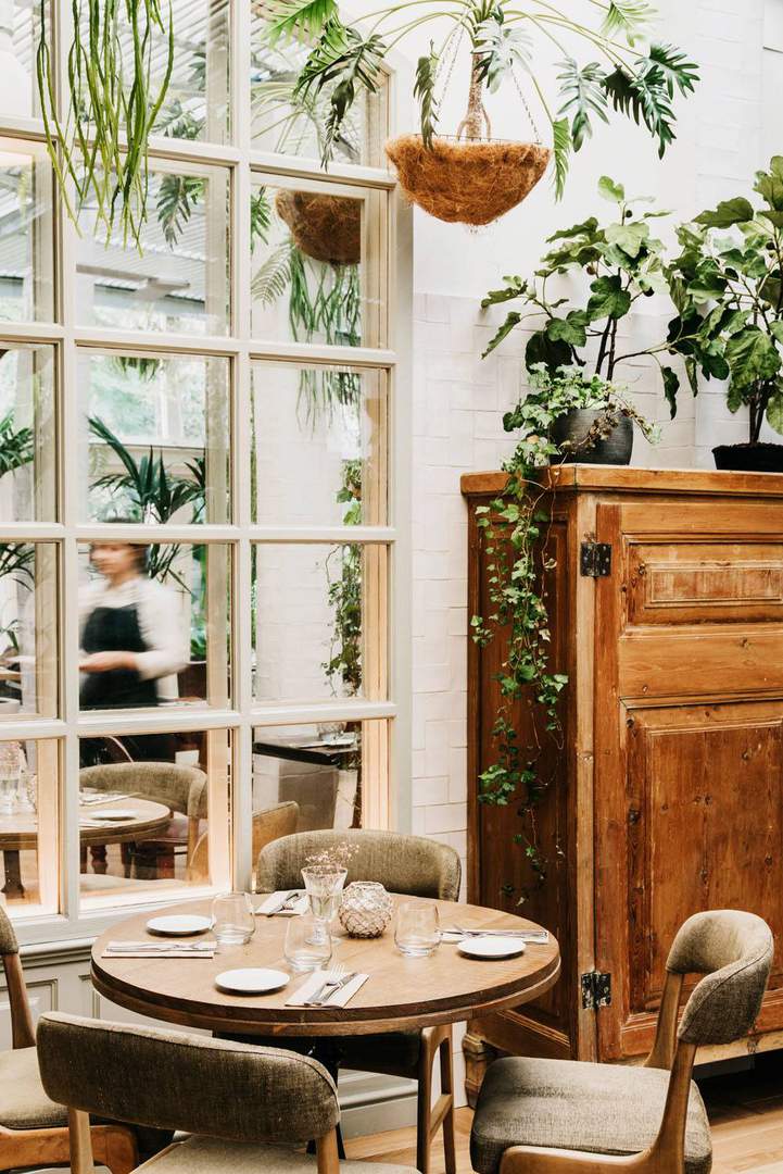 Alquila por horas Salón Luminoso con Vegetación