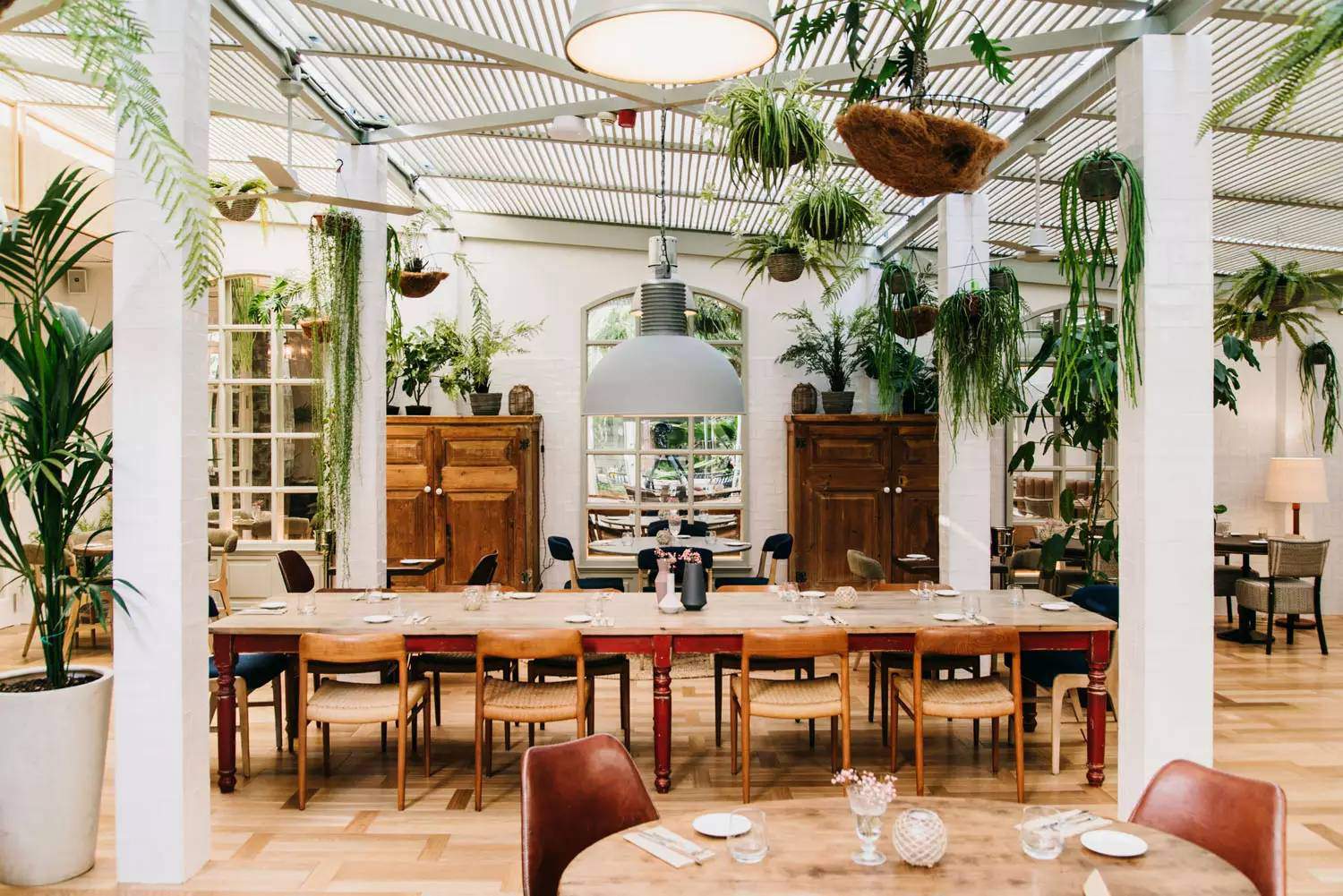 Alquila por horas Salón Luminoso con Vegetación