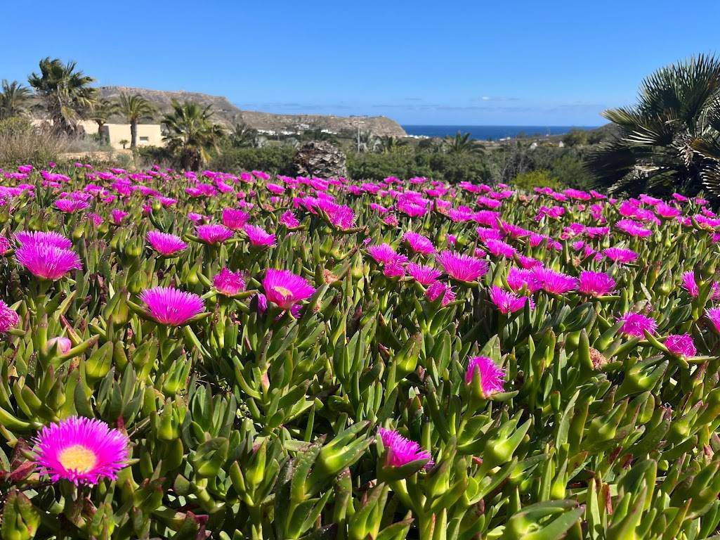 Alquila por horas CORTIJO AMARA AGUA VISTAR MAR Y MONTAÑA