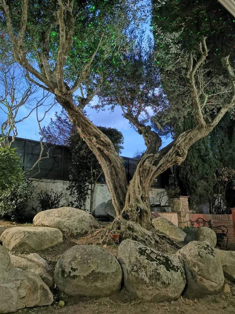 Alquila por horas JARDINES Y VIVIENDA 