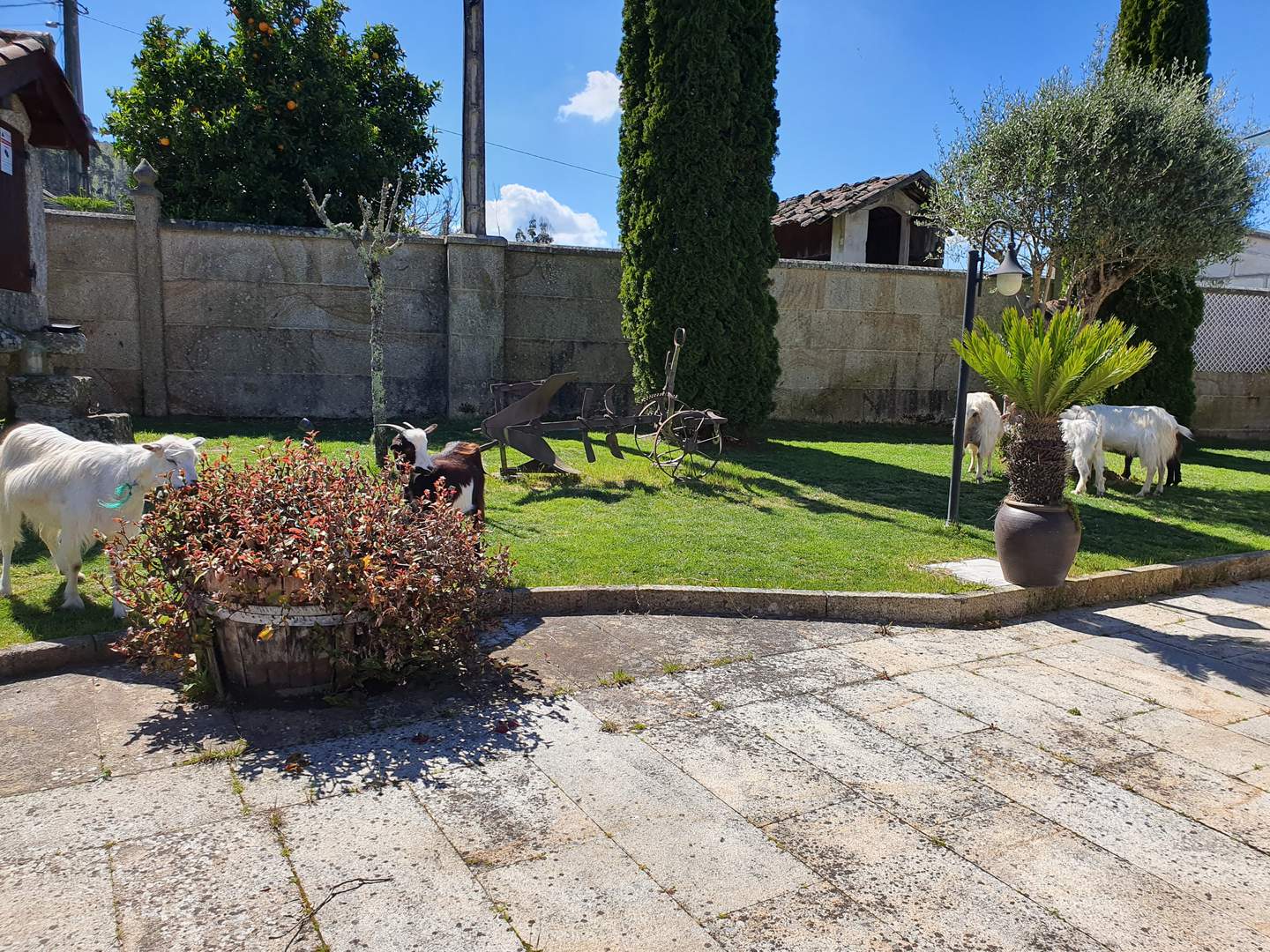 Alquila por horas Casa típica gallega