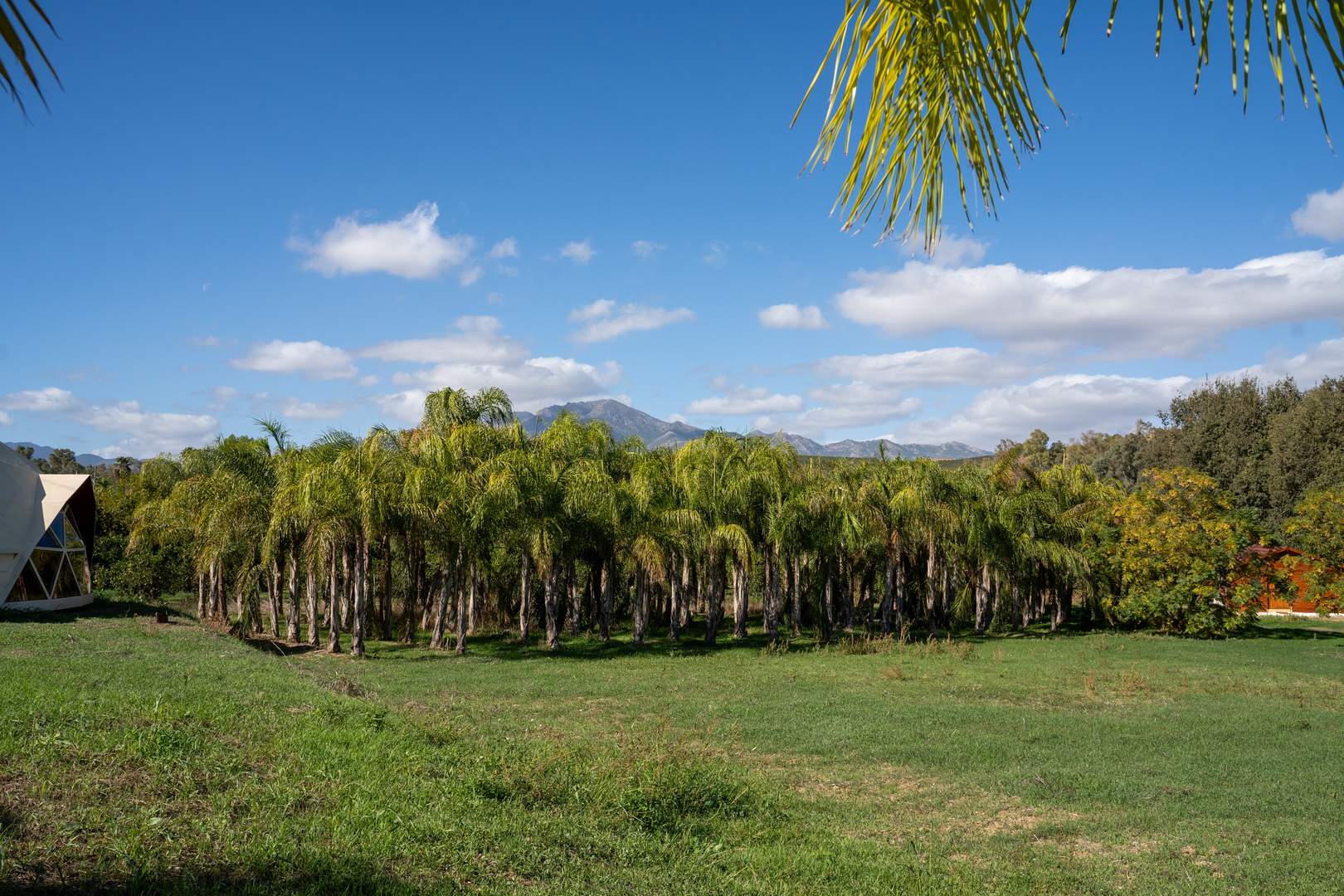 Alquila por horas Finca estilo mediterránea en mitad de la naturaleza