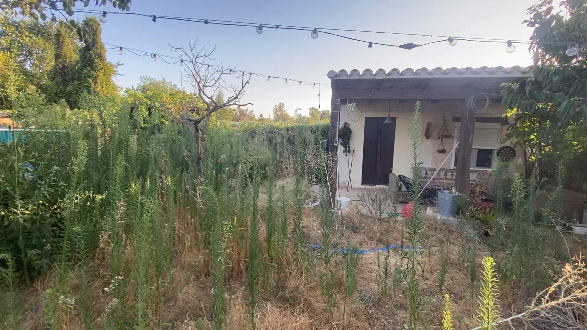 Alquila por horas Vivienda en un antiguo taller de carpintería metálica