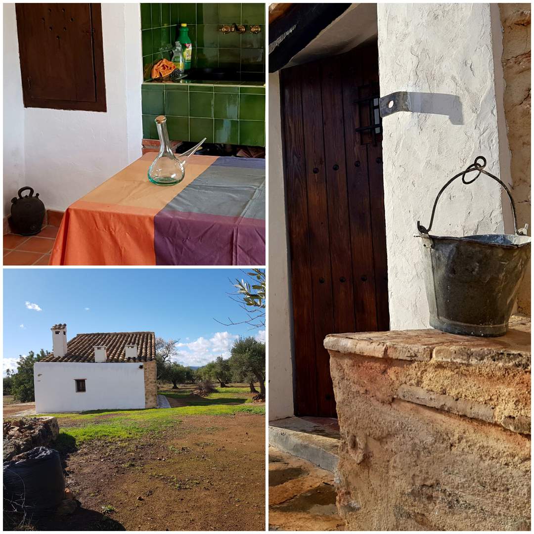 Alquila por horas Finca de Olivos con maset