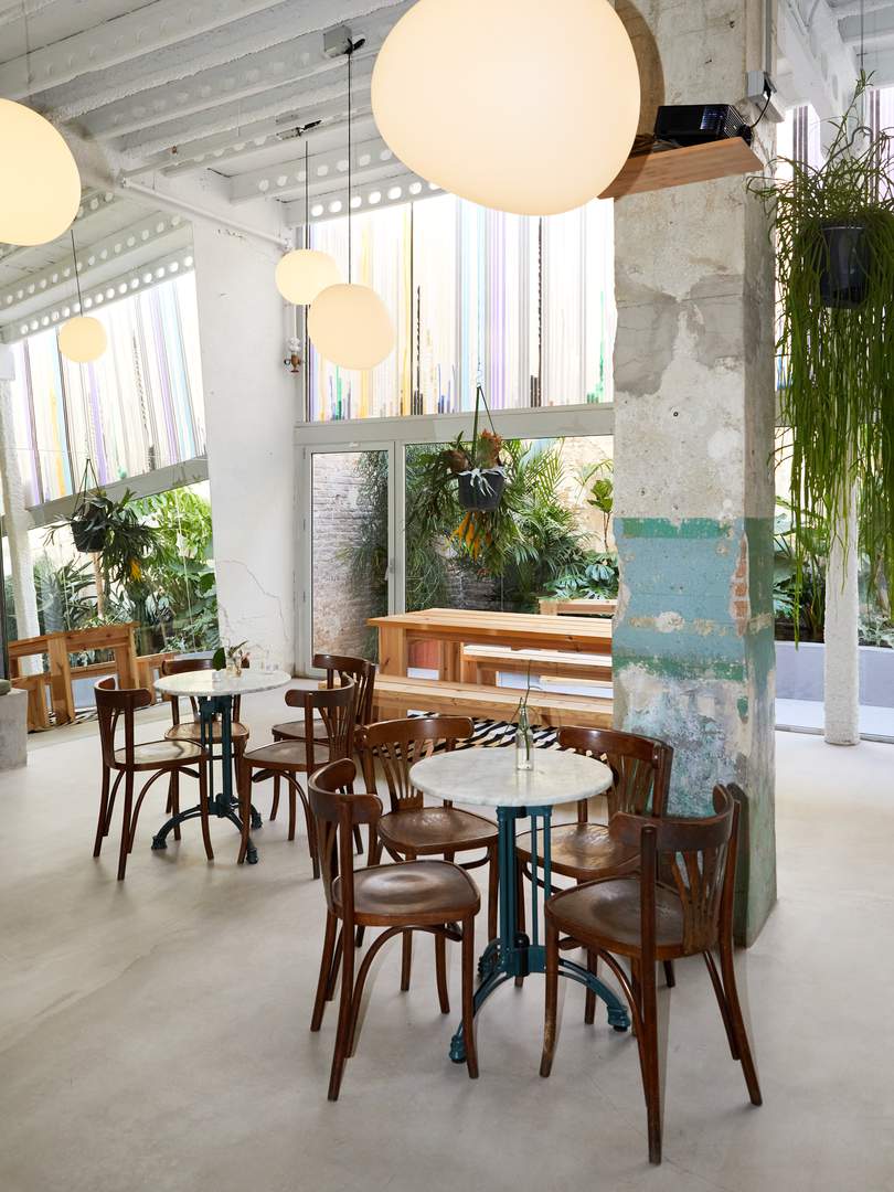 Alquila por horas Oasis escondido lleno de plantas y natura en el centro de Barcelona