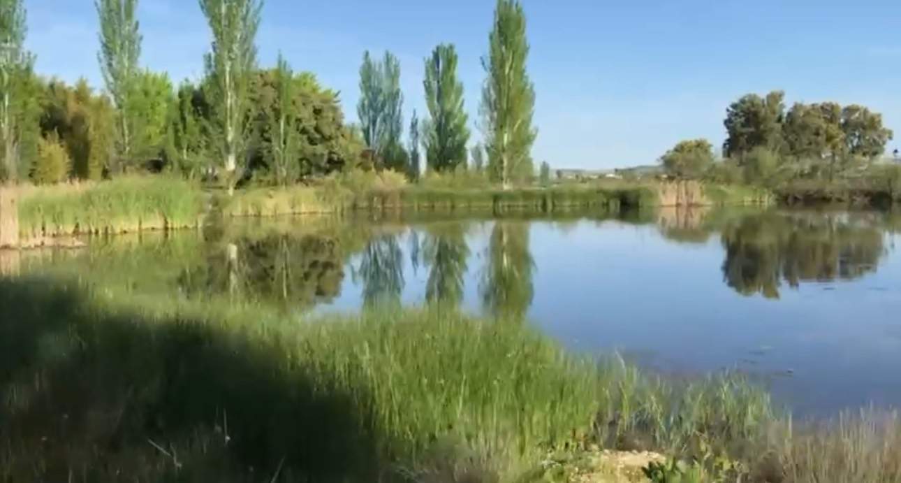 Alquila por horas Finca con Hípica y Cuadras