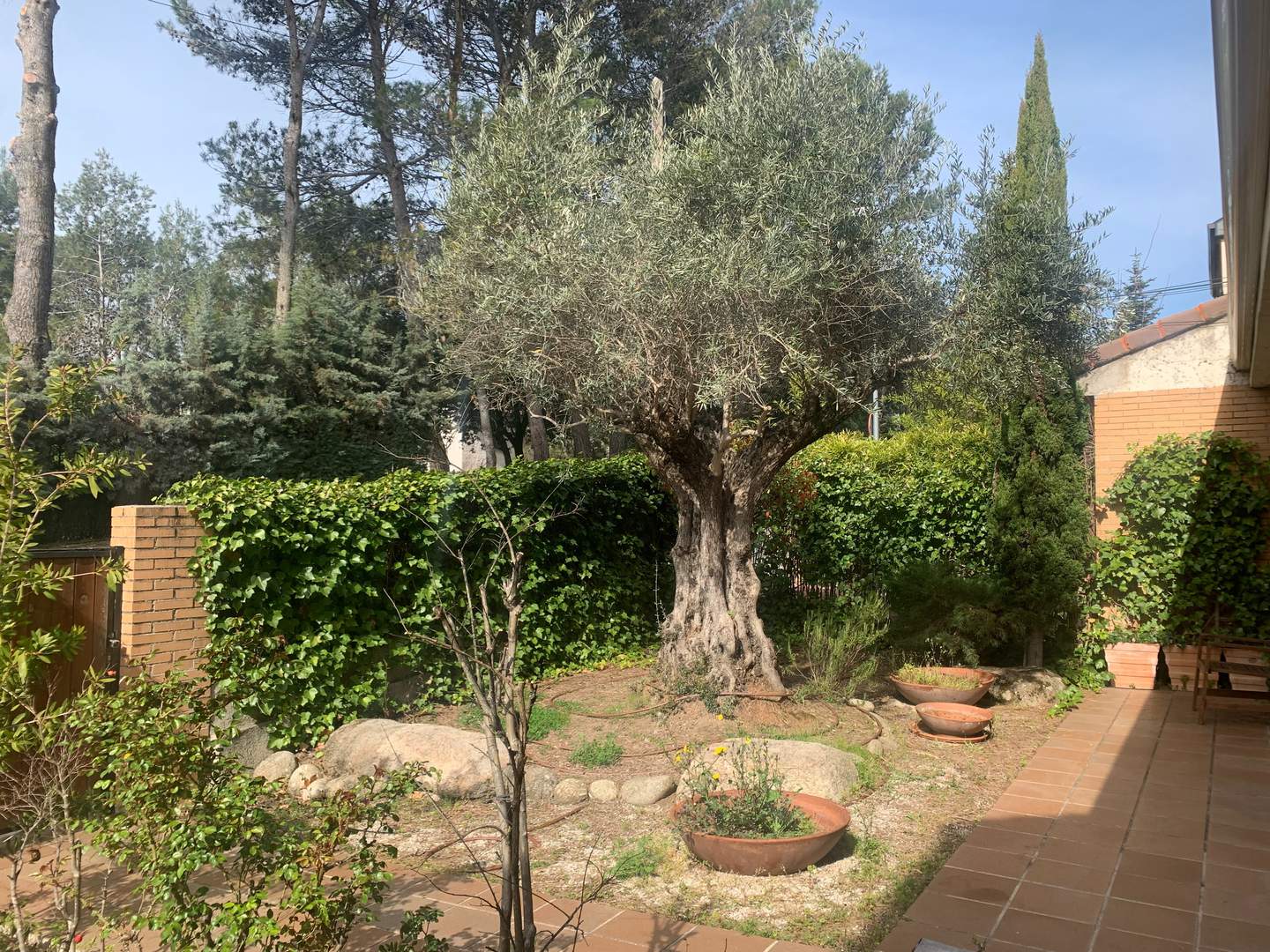 Alquila por horas CASA LUMINOSA CON BUHARDILLA, JARDíN Y PISCINA